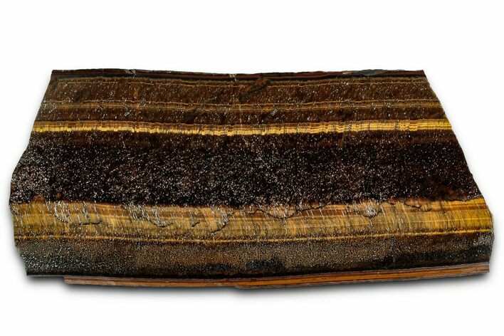 Polished Tiger's Eye Slab - South Africa #355291